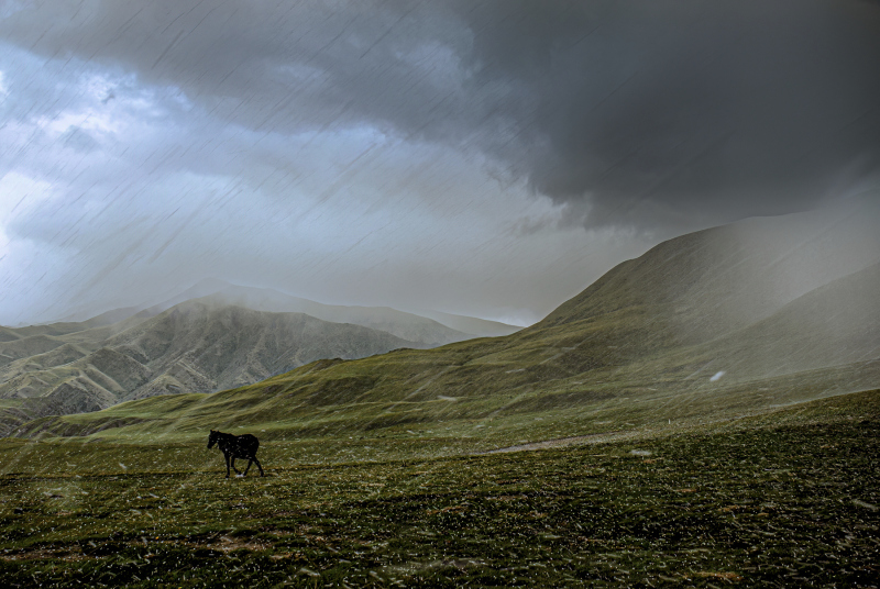 HagelimTianShan_HannesRehm_008