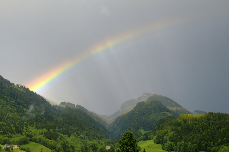 Regenbogen_BertramWaldner_014