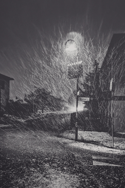 Schneesturm_GiselaKuzel_016