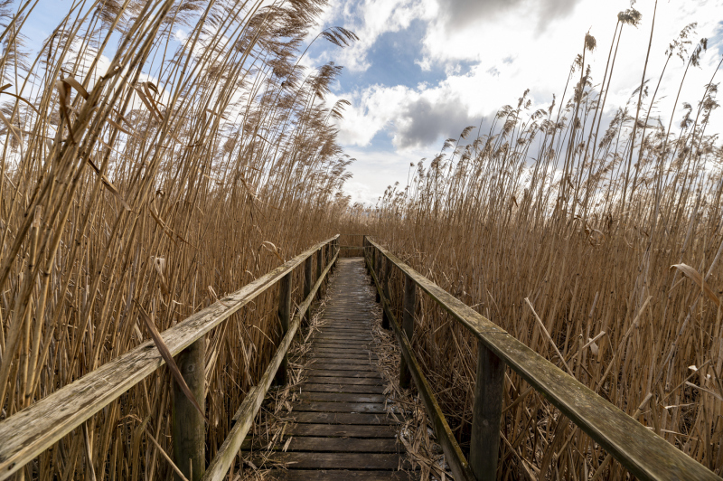 Wind1_AnnemarieMaldoner_024