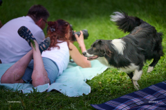 HundeShooting_RGZ0940_Aug.-2023_LK1800@_RolandG