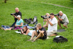 HundeShooting_RGZ8786_Aug.-2023_LK1800@_RolandG