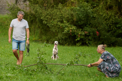 HundeShooting_RGZ9242_Aug.-2023_LK1800@_RolandG HundeShooting_RGZ9242_Aug.-2023_LK1800@_RolandG