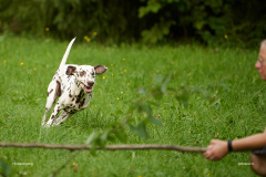 HundeShooting_RGZ9255_Aug.-2023_LK1800@_RolandG HundeShooting_RGZ9255_Aug.-2023_LK1800@_RolandG