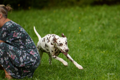 HundeShooting_RGZ9269_Aug.-2023_LK1800@_RolandG HundeShooting_RGZ9269_Aug.-2023_LK1800@_RolandG