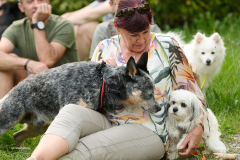 HundeShooting_RGZ9731_Aug.-2023_LK1800@_RolandG