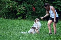 Hunde_Markus_Koppitz_2023DSC_5510