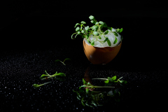 Foodfotografie_IngridHaemmerle_IHZ0575