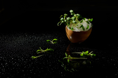 Foodfotografie_IngridHaemmerle_IHZ0576