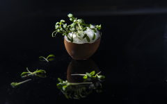 Ueberraschungsei_MNussbaumer