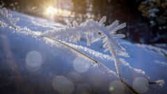 00018_Winterwanderung-Sulzberg_14.-Jaenner-2024