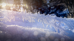 00021_Winterwanderung-Sulzberg_14.-Jaenner-2024