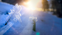 00024_Winterwanderung-Sulzberg_14.-Jaenner-2024