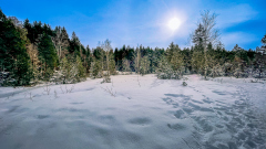 00062_Winterwanderung-Sulzberg_21.-Jaenner-2024