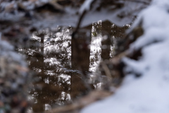 Fotoclub-Fruehstueck-SulzbergGuenther-Fink2024-3