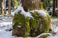 Fotoclub-Fruehstueck-SulzbergGuenther-Fink2024-4