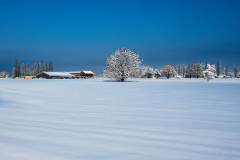 Winterlandschaft_Franz.Errath.jpg Winterlandschaft_Franz.Errath.jpg