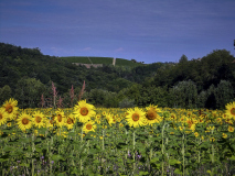 001_Piemont_Ingrid