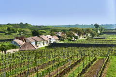 015_Kamptal_FranzErrath