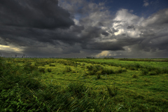 030_Husum3_GerhardSch