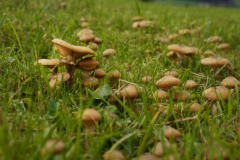 Fotowanderung_GerhardSch_20242