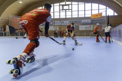 01841_RHC-Wolfurt_16.-November-2024_Mario-Stecher_@Fototeam-Digital-2024