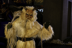 01058_Krampuslauf-Bregenz-2024__Wernfried-Zeilinger_23.-November-2024_@Fototeam-Digital-2024