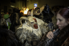 01077_Krampuslauf-Bregenz-2024___23.-November-2024_@Fototeam-Digital-2024 01077_Krampuslauf-Bregenz-2024___23.-November-2024_@Fototeam-Digital-2024