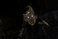 01184_Krampuslauf-Bregenz-2024__Mario-Stecher_23.-November-2024_@Fototeam-Digital-2024 01184_Krampuslauf-Bregenz-2024__Mario-Stecher_23.-November-2024_@Fototeam-Digital-2024