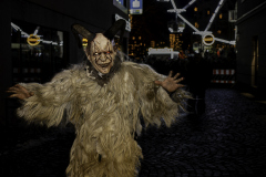 01198_Krampuslauf-Bregenz-2024__Wernfried-Zeilinger_23.-November-2024_@Fototeam-Digital-2024 01198_Krampuslauf-Bregenz-2024__Wernfried-Zeilinger_23.-November-2024_@Fototeam-Digital-2024