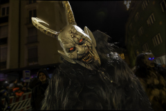 01207_Krampuslauf-Bregenz-2024__Mario-Stecher_23.-November-2024_@Fototeam-Digital-2024 01207_Krampuslauf-Bregenz-2024__Mario-Stecher_23.-November-2024_@Fototeam-Digital-2024