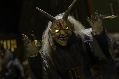 01265_Krampuslauf-Bregenz-2024__Mario-Stecher_23.-November-2024_@Fototeam-Digital-2024 01265_Krampuslauf-Bregenz-2024__Mario-Stecher_23.-November-2024_@Fototeam-Digital-2024