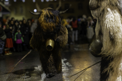 01294_Krampuslauf-Bregenz-2024__Mario-Stecher_23.-November-2024_@Fototeam-Digital-2024 01294_Krampuslauf-Bregenz-2024__Mario-Stecher_23.-November-2024_@Fototeam-Digital-2024
