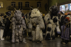 01304_Krampuslauf-Bregenz-2024__Mario-Stecher_23.-November-2024_@Fototeam-Digital-2024 01304_Krampuslauf-Bregenz-2024__Mario-Stecher_23.-November-2024_@Fototeam-Digital-2024