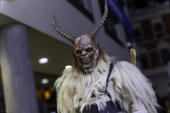 01330_Krampuslauf-Bregenz-2024__Mario-Stecher_23.-November-2024_@Fototeam-Digital-2024 01330_Krampuslauf-Bregenz-2024__Mario-Stecher_23.-November-2024_@Fototeam-Digital-2024