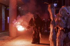 01332_Krampuslauf-Bregenz-2024__Mario-Stecher_23.-November-2024_@Fototeam-Digital-2024 01332_Krampuslauf-Bregenz-2024__Mario-Stecher_23.-November-2024_@Fototeam-Digital-2024
