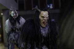 01348_Krampuslauf-Bregenz-2024__Mario-Stecher_23.-November-2024_@Fototeam-Digital-2024 01348_Krampuslauf-Bregenz-2024__Mario-Stecher_23.-November-2024_@Fototeam-Digital-2024
