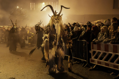 01354_Krampuslauf-Bregenz-2024__Annemarie-Maldoner_23.-November-2024_@Fototeam-Digital-2024 01354_Krampuslauf-Bregenz-2024__Annemarie-Maldoner_23.-November-2024_@Fototeam-Digital-2024
