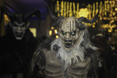 01425_Krampuslauf-Bregenz-2024__Klemens-Sohler_23.-November-2024_@Fototeam-Digital-2024