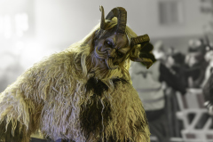 01509_Krampuslauf-Bregenz-2024__Mario-Stecher_23.-November-2024_@Fototeam-Digital-2024