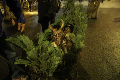 01535_Krampuslauf-Bregenz-2024__Annemarie-Maldoner_23.-November-2024_@Fototeam-Digital-2024