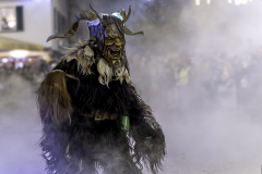 01556_Krampuslauf-Bregenz-2024__Mario-Stecher_23.-November-2024_@Fototeam-Digital-2024