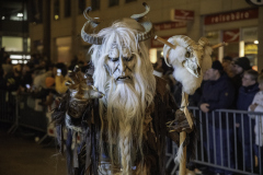 01585_Krampuslauf-Bregenz-2024__Karin-Voegel_23.-November-2024_@Fototeam-Digital-2024