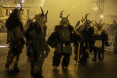 01600_Krampuslauf-Bregenz-2024__Annemarie-Maldoner_23.-November-2024_@Fototeam-Digital-2024