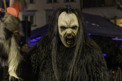 01650_Krampuslauf-Bregenz-2024__Mario-Stecher_23.-November-2024_@Fototeam-Digital-2024