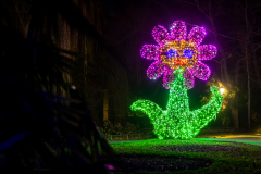 00006_Christmas-Garden-Insel-Mainau_Mario-Stecher-Bregenz-Fluh-7_28.-Dezember-2024@Fototeam-Digital-2024 00006_Christmas-Garden-Insel-Mainau_Mario-Stecher-Bregenz-Fluh-7_28.-Dezember-2024@Fototeam-Digital-2024