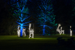 00016_Christmas-Garden-Insel-Mainau_Mario-Stecher-Bregenz-Fluh-7_28.-Dezember-2024@Fototeam-Digital-2024