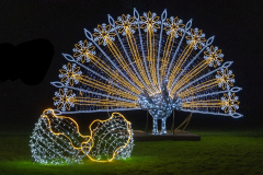 00040_Christmas-Garden-Insel-Mainau_Mario-Stecher-Bregenz-Fluh-7_28.-Dezember-2024@Fototeam-Digital-2024