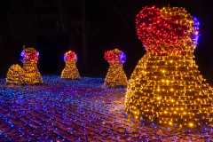 00044_Christmas-Garden-Insel-Mainau_Mario-Stecher-Bregenz-Fluh-7_28.-Dezember-2024@Fototeam-Digital-2024