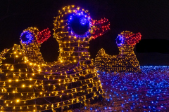 00048_Christmas-Garden-Insel-Mainau_Mario-Stecher-Bregenz-Fluh-7_28.-Dezember-2024@Fototeam-Digital-2024